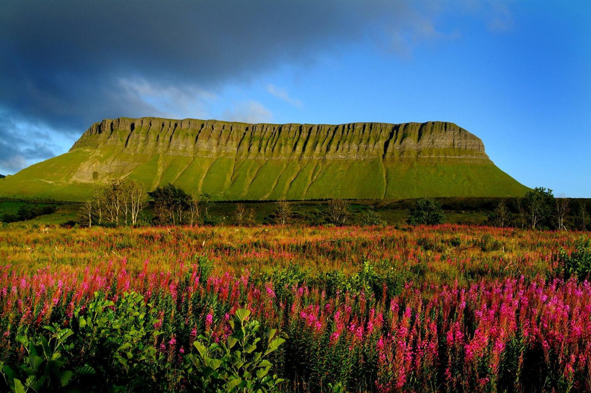 Central Sligo Townhouse别墅 外观 照片
